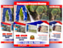design professional cleaning services,power washing flyer