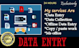 do data entry, copy paste professionally