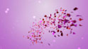 create valentine day romantic gift video for your love