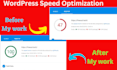 increase wordpress speed optimization for google page speed insights