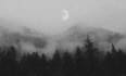 create dark art surrealistic background