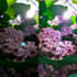 premium photo edits cheap and quick