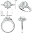 engagement  rings 3d model