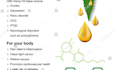 write cbd and cannabis content for your blog