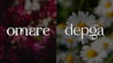 design luxury fashion beauty stylish minimal font logo
