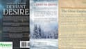 compose your book description, book blurb, amazon kindle, ebook and book summary