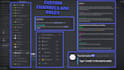 create a professional grade discord server