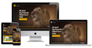 design and develop a wordpress business website for you