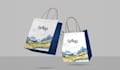 do design shopping bag, paper bag, bag design