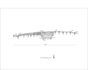 draw archeological 2d plans and cuts in autocad