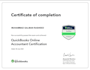 do your ms excel,sap,xero and quickbooks tasks