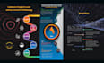 design whitepaper professionally in 24 hours