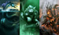 draw fantasy creatures and custom monster illustration