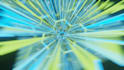 create an amazing loop animation