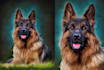 draw your pet portrait in to digital oil painting