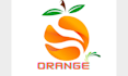 design any logo concept only five dolor