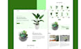design modern web template in xd, and figma