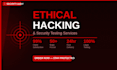 perform professional penetration testing, and web application security audit