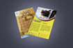 do professional brochure design, trifold brochure, and PDF brochure