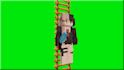 make you a minecraft greenscreen of your character