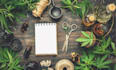 write article on cannabis, marijuana and cbd oil