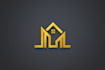 design a professional logo design