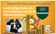 provide fintech islamic finance consultancy