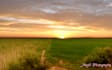 make your photos perfect image editing graphic designer