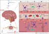 do great biology diagrams