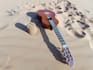 wish you a happy birthday in the sahara desert with a guitar