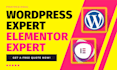 create wordpress website with astra pro and elementor pro expert