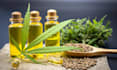 do high da cannabis marijuana cbd guest post link building for backlinks