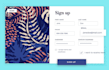 create, fix, and optimize wordpress forms, pop ups, and mailchimp integrations