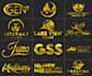 do stunning luxury logo designs