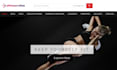 create a jvzoo passive earning website including SEO
