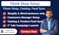 setup tiktok pixel, shop, catalog, ads account for shopify