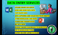 do accurate data entry, typing copy paste, excel entry  any file conversion