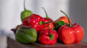 photograph fruits and vegetables