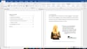do research and summarize the project