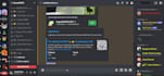 setup a discord server under 1 day, discord server maker