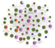 write scientific  articles in biology and biotechnology