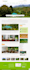 posters flyers,newsletters designing broshures