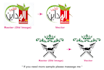 redesign any image into detail vector art