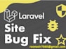 fix your website issues and bugs in just 2 hours
