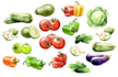 make digital watercolor for menu or website