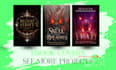 illustrate custom fantasy book cover design for amazon