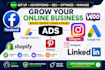 setup fb marketing, facebook advertising,instagram ads with fb ads campaigns