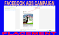 be your facebook ads campaign manager and run a fb ads campaign