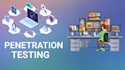 professionally provide website  penetration testing  with manual report