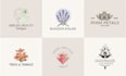 design modern botanical boho logo design with branding